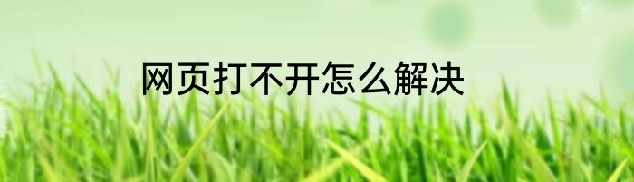网页打不开怎么解决