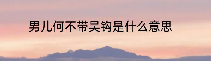 男儿何不带吴钩是什么意思
