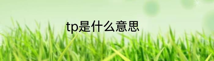 tp是什么意思