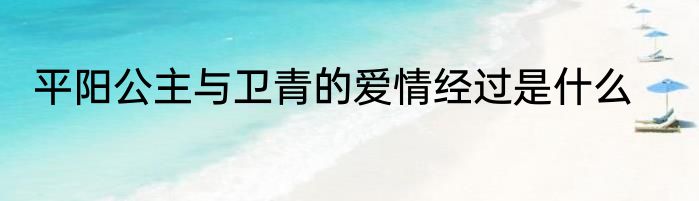 平阳公主与卫青的爱情经过是什么