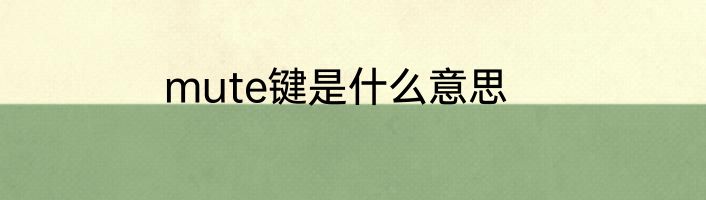 mute键是什么意思