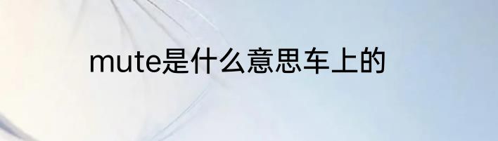 mute是什么意思车上的