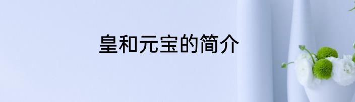 皇和元宝的简介