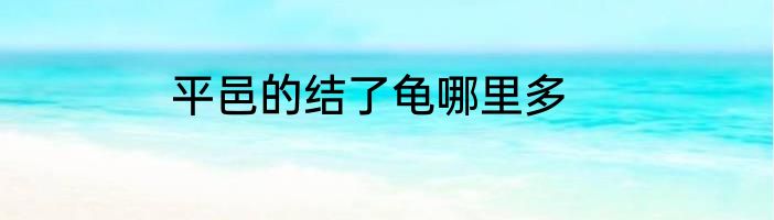 平邑的结了龟哪里多