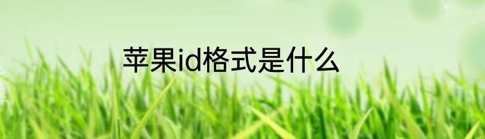 苹果id格式是什么