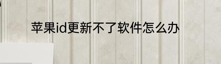 苹果id更新不了软件怎么办