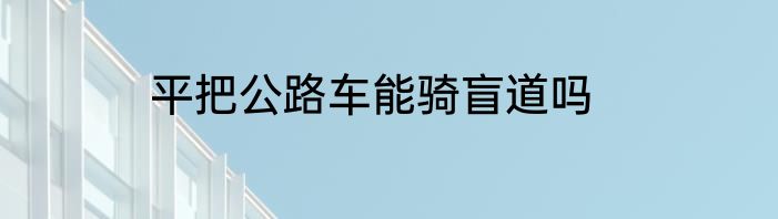 平把公路车能骑盲道吗