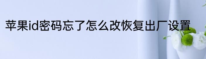 苹果id密码忘了怎么改恢复出厂设置