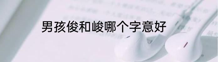男孩俊和峻哪个字意好