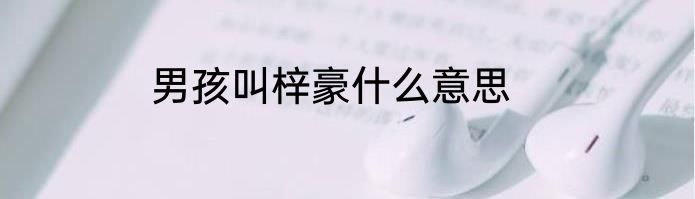 男孩叫梓豪什么意思