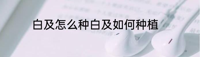 白及怎么种白及如何种植