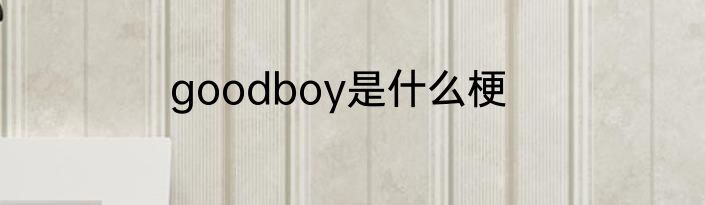 goodboy是什么梗