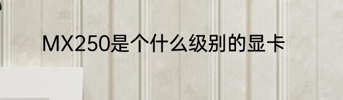 MX250是个什么级别的显卡