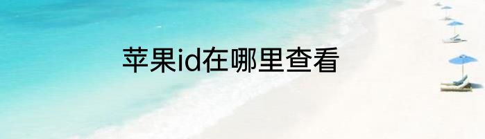 苹果id在哪里查看