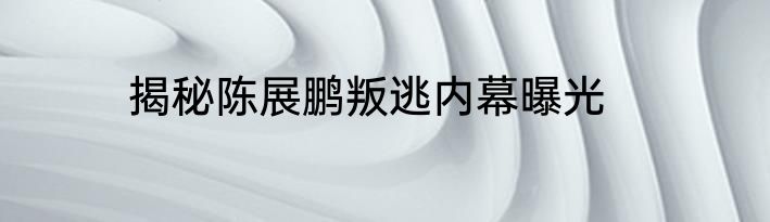 揭秘陈展鹏叛逃内幕曝光