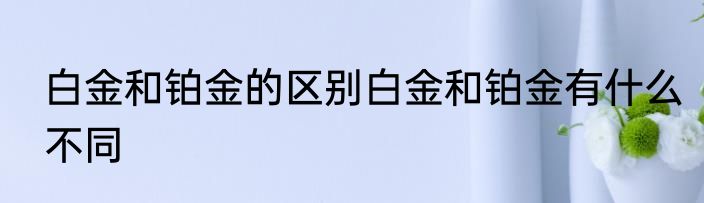 白金和铂金的区别白金和铂金有什么不同