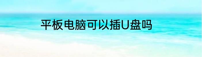 平板电脑可以插U盘吗