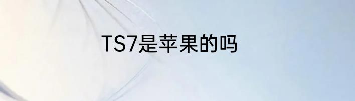 TS7是苹果的吗