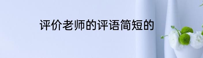 评价老师的评语简短的