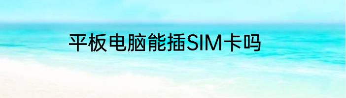 平板电脑能插SIM卡吗