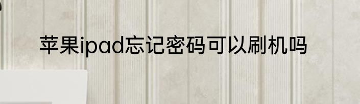 苹果ipad忘记密码可以刷机吗