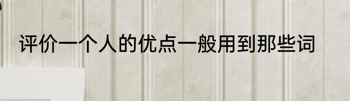 评价一个人的优点一般用到那些词