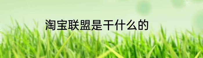 淘宝联盟是干什么的