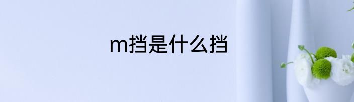 m挡是什么挡
