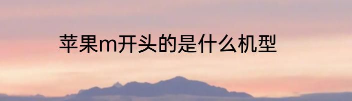 苹果m开头的是什么机型