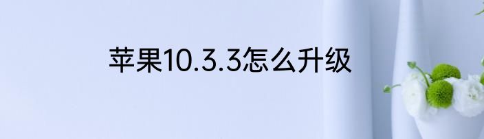 苹果10.3.3怎么升级
