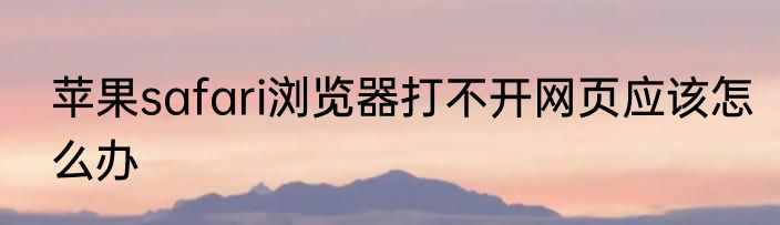 苹果safari浏览器打不开网页应该怎么办