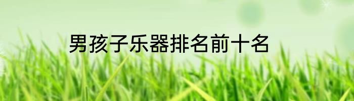 男孩子乐器排名前十名