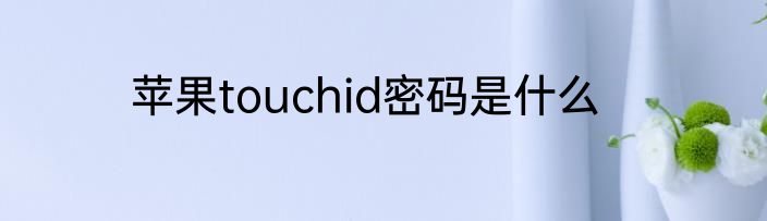 苹果touchid密码是什么