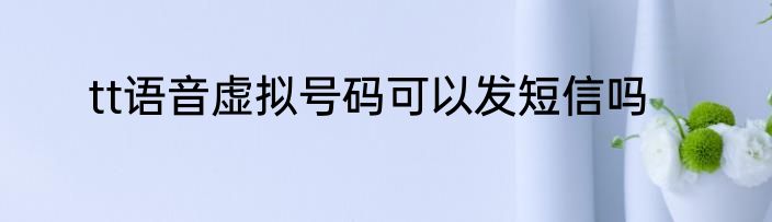 tt语音虚拟号码可以发短信吗