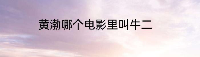 黄渤哪个电影里叫牛二