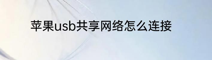 苹果usb共享网络怎么连接
