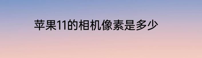 苹果11的相机像素是多少