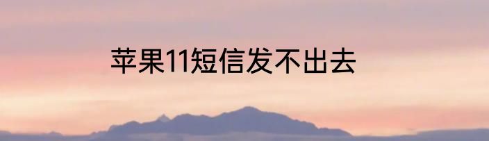 苹果11短信发不出去