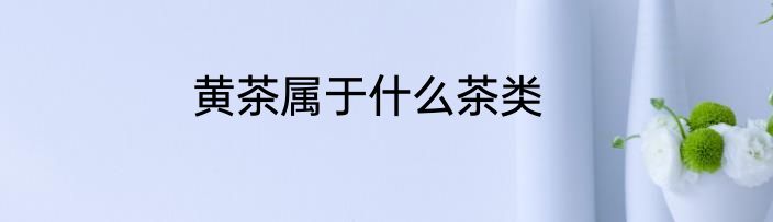 黄茶属于什么茶类
