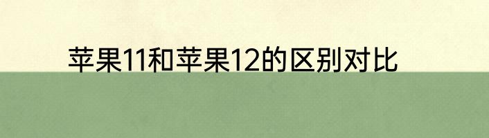 苹果11和苹果12的区别对比