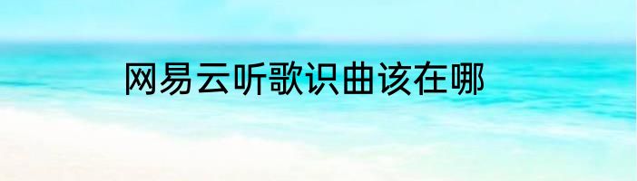 网易云听歌识曲该在哪