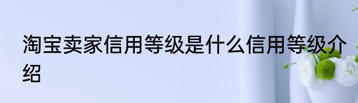 淘宝卖家信用等级是什么信用等级介绍