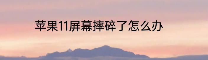 苹果11屏幕摔碎了怎么办