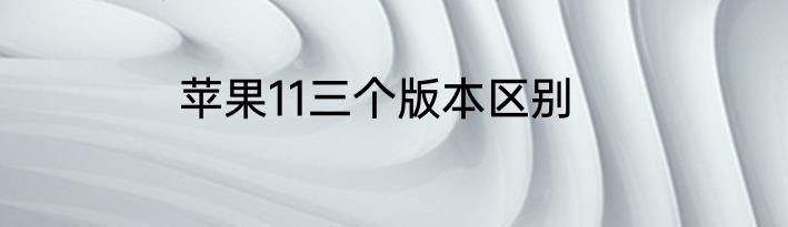 苹果11三个版本区别