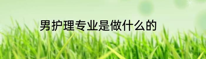 男护理专业是做什么的