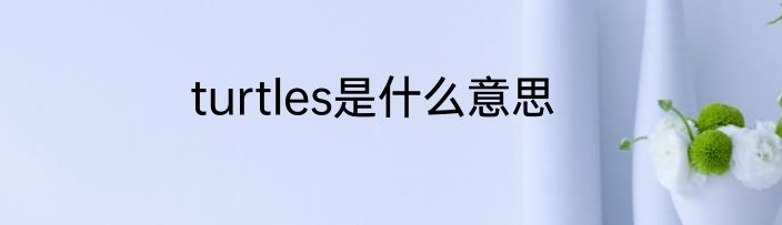 turtles是什么意思