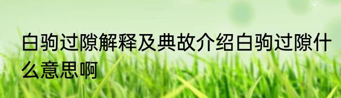 白驹过隙解释及典故介绍白驹过隙什么意思啊