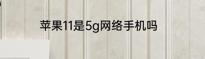 苹果11是5g网络手机吗