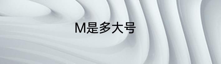M是多大号