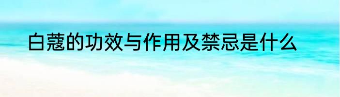 白蔻的功效与作用及禁忌是什么